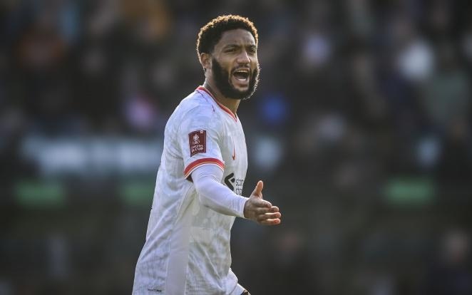 新援小波特 新援小波特