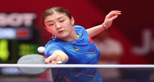 使得山东队 使得山东队