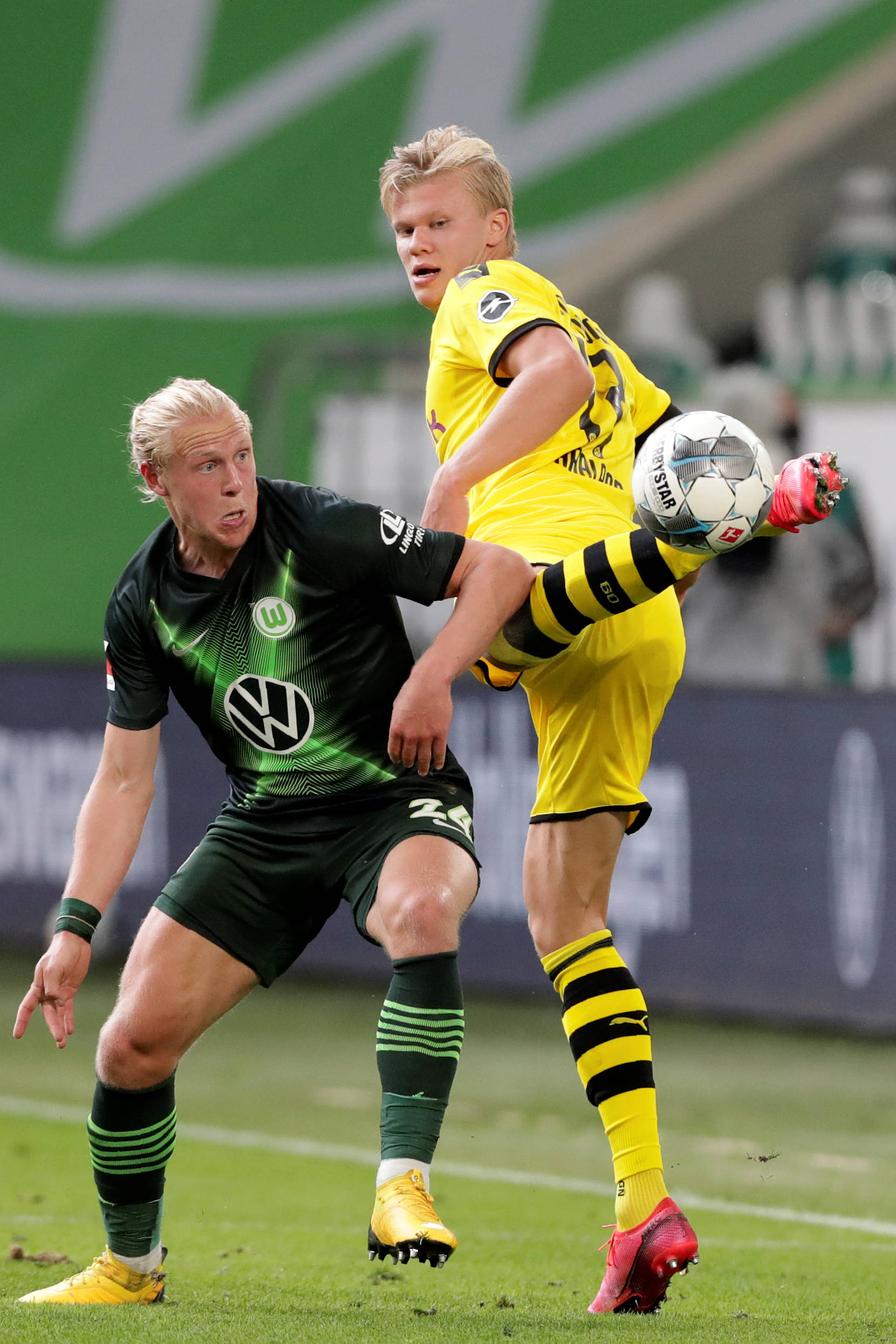 入新的活力 入新的活力