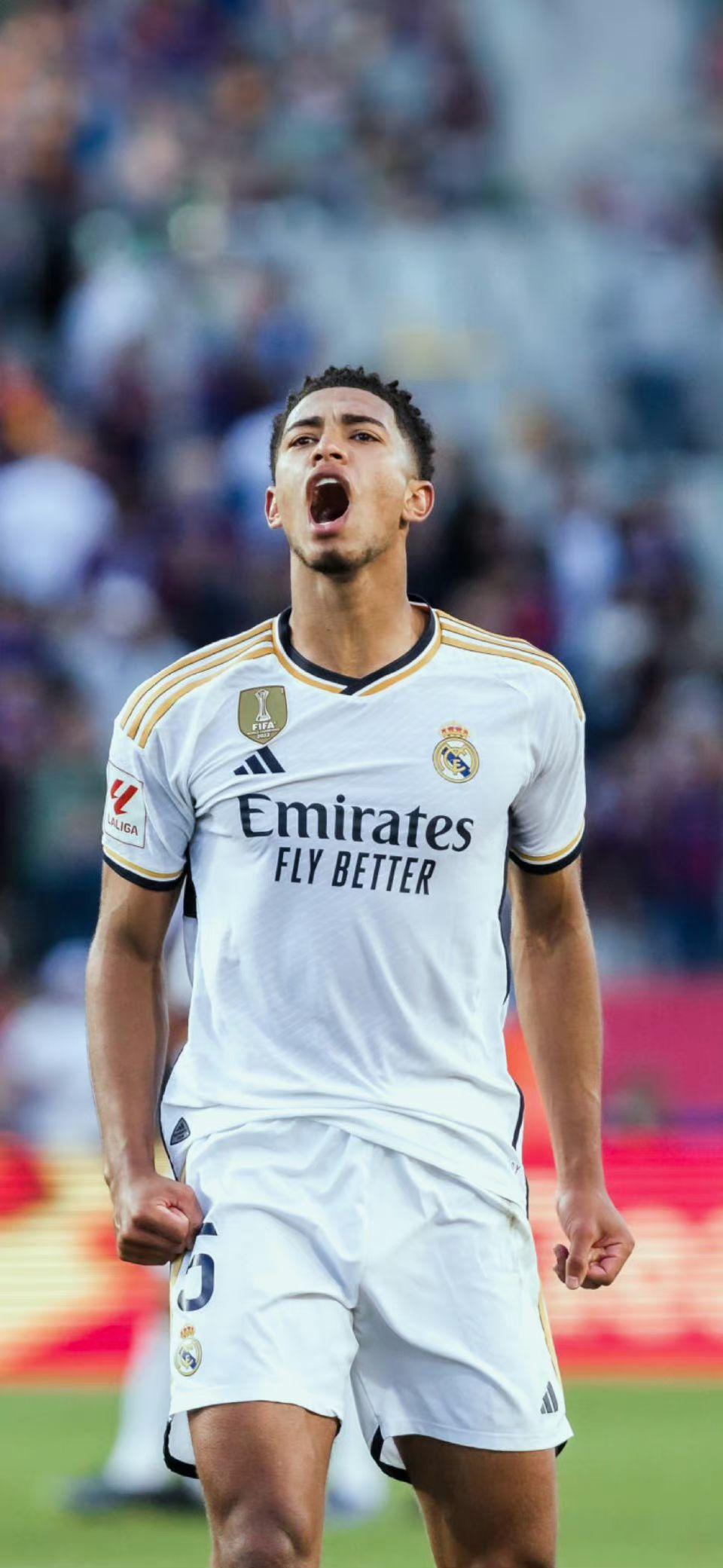 从高潜回报 从高潜回报